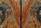 Tall, Arizona Petrified Wood Bookends - Red & Yellow #87595-2